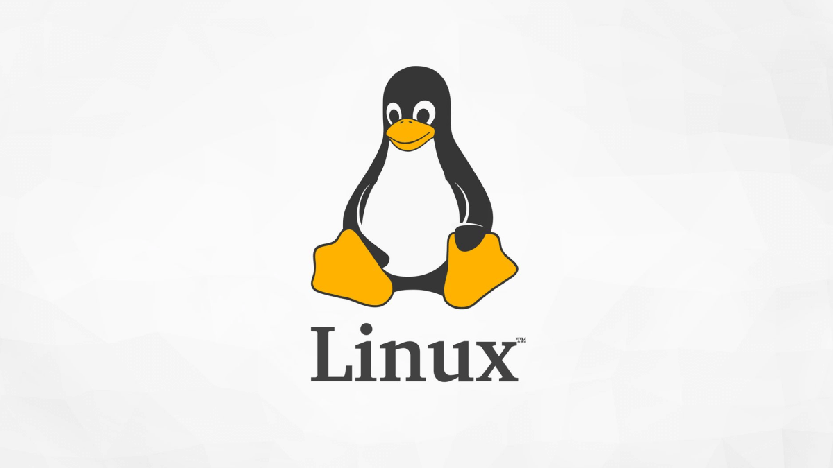 Best Linux Distros In For Beginner Experienced And Off