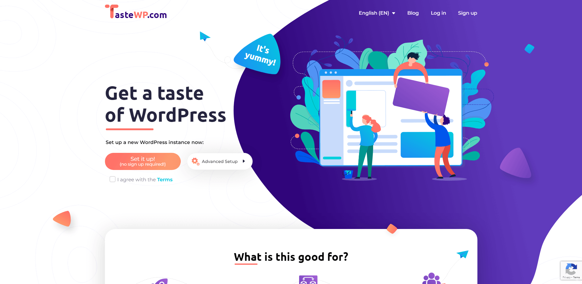 TasteWP homepage