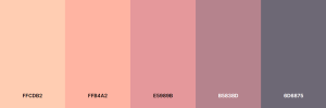 Palette-Coolors