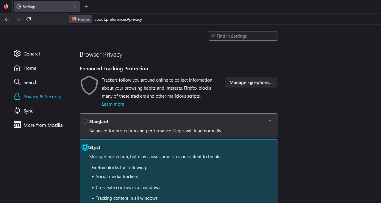 Mozilla Firefox privacy settings