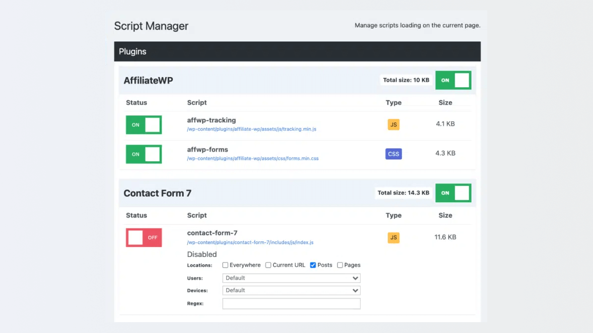 Perfmatters Script Manager