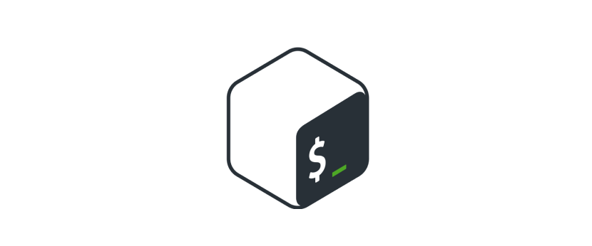 Bash Examples for loop