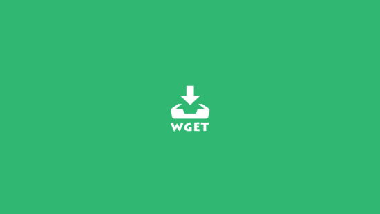 How to Use the Wget Command in Linux to Download Files