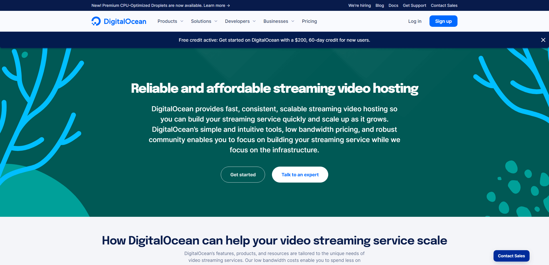 The Best Video Streaming Hosting Services (2023 Review)